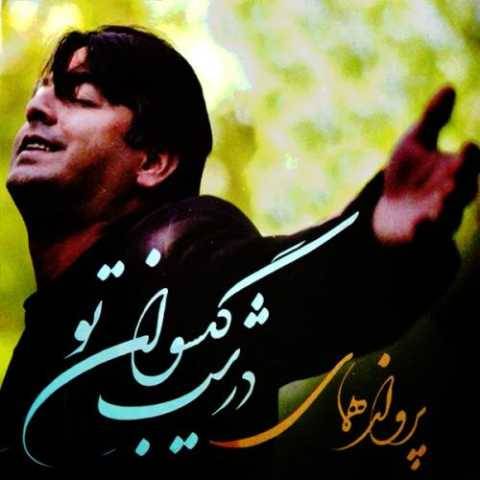 دانلود آهنگ جدید پرواز همای دیونه تر