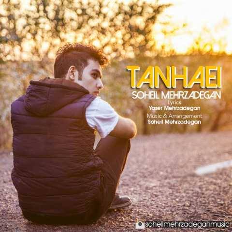 دانلود آهنگ جدید سهیل مهرزادگان تنهایی