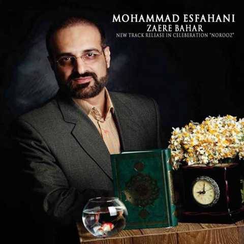 دانلود آهنگ جدید محمد اصفهانی زائر بهار
