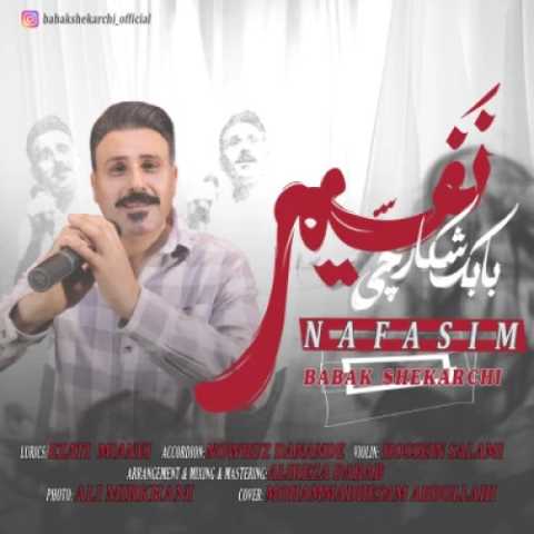 دانلود آهنگ جدید بابک شکارچی نفسیم