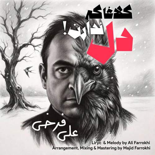 دانلود آهنگ جدید علی فرخی کلاغا که دل ندارن